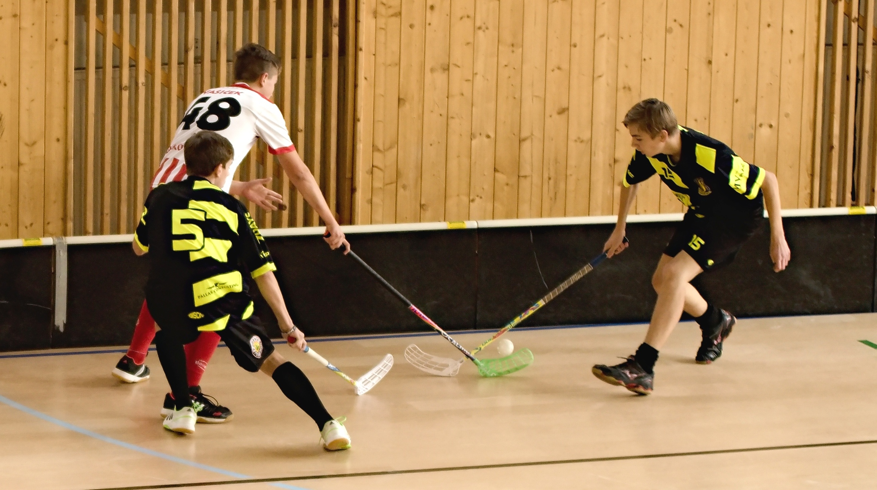 JunciLedec241015 013